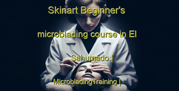 Skinart Beginner's microblading course in El Sahumado | MicrobladingTraining | MicrobladingClasses | SkinartTraining-Mexico